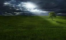 探究农历二十一出生人的性格和命运——他们的优势与挑战如何?