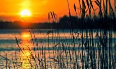 农历十一月份出生的人,他们的性格和命运是否具有优越性?