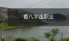 如何通过查看八字来选择最适合自己的职业?