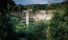 2020年十一月十一日出生的男婴,根据农历计算在鼠年诞生,五行特征分析,是否存在缺失,命格是否凶吉?