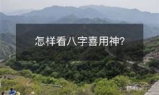 掌握八字喜用神的诀窍:如何洞悉八字中的福神、贵人和生机,为您的人生助力?