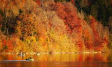 两个生肖相克的人——天上火命男和大海水命女——是否存在难以相容的问题?