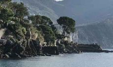 2020年农历十一月初三生育的宝宝五行如何,透过五行查询了解吉凶祸福预测