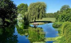 2021年农历大年初七出生的宝宝,根据八字分析,他/她的命运会是怎么样的?