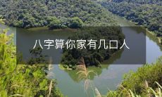 通过八字推算,揭示你家庭的人口数量有多少?