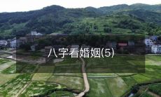 如何从八字预测婚姻幸福程度? - 八字看婚姻篇(第五部分)