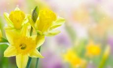 能否考虑两个人的石榴木命在一起会带来哪些好处和挑战?