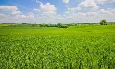 今天2021年1月25日出生的宝宝,根据五行查询,命运如何?挖掘宝宝性格和命理的秘密!