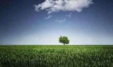 揭秘:哪些女人的八字最容易遇到感情骗子?