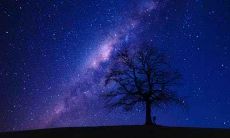 探究生辰八字如何影响财运情况,揭示具备发财潜质的八字特征