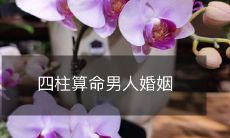 四柱算命男人婚姻状况及对未来婚姻的影响分析