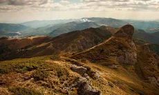 的命理条件特征?