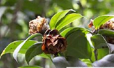 2022年壬寅虎年甲戌出生的人是否能在未来久久为伴之婚姻生活中找到自己的缘分呢?