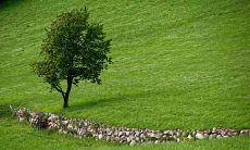 今天生育的宝宝将如何命运?根据八字五行测算,他们可能会存在哪些缺陷?