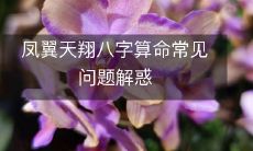 深入解析凤翼天翔八字算命,探究常见问题及解惑!