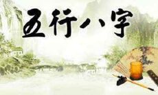 2021年农历正月十一出生的宝宝,根据五行理论推断其命运如何,有哪些方面需要养护?