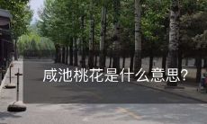 可以这样改写:深究咸池桃花的含义及其文化背景是怎样形成的?