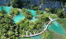 2020年农历十一月出生的鼠宝宝的生肖命运如何,好不好?