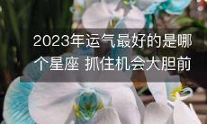 拥有最佳运势的星座?2023年揭晓,把握机会敢于向前!