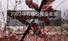 2023年,哪些星座将拥有财富大爆发的机遇?