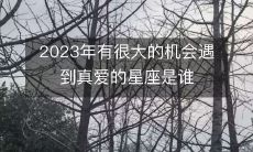 哪些星座在2023年有着极大的机会遇到真爱的机会?