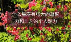 哪些星座拥有出众的个人魅力和卓越的凝聚力?
