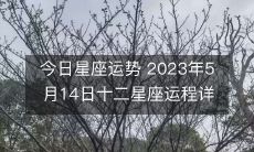 2023年5月14日十二星座的今天运势全面解析!
