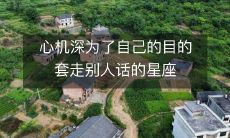 心机深得有些过分,为了达成个人目的而利用欺骗性的谈话技巧的星座分析