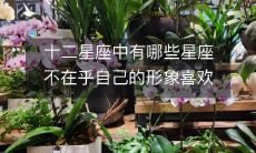 探究哪些星座在意形象,哪些星座喜欢取悦众人,破解十二星座中不择手段的喜欢哗众取宠的星座是哪些?