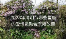 探讨2023年清明节期间,哪些星座的爱情运势将有所提升,为何会出现这样的变化?