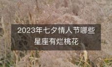 2023年七夕情人节即将到来,那些星座会遭遇烂桃花的困扰呢?
