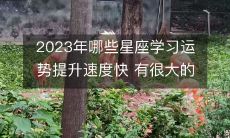 2023年哪些星座在学习方面具备出色的运势,能够快速提升自己的能力,展现出显著的进步?