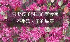 12星座中那些只要孩子有所要求就会毫不犹豫去购买的星座人格特质探析