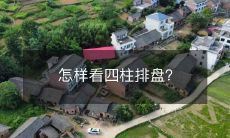 如何正确地观察和解读四柱排盘?