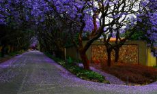 哪个星座在十二星座中拥有最强的事业心和赚钱能力?