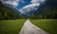 2021年农历正月初九出生的男孩,根据生肖和八字命理学,他的命运将如何展开?他会拥有一个幸福繁荣的未来吗?这一天出生的男孩究竟是否有吉利的气息?让我们一起探索这个问题!