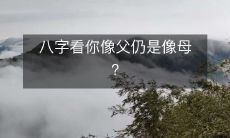 使用八字看到底是更像父亲还是母亲,来测试您的基因遗传特征?