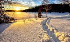 在中国传统文化中,与农历6月出生相关的财富信仰是否影响了这些人变得富有?