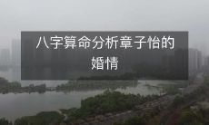 八字算命阐述:探析章子怡婚姻状况及未来发展前景