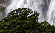 哪些八字组合可以拥有最多财富和资产?