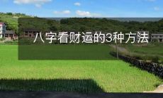 探寻财运之门:从八字出发,共探三种打开财富大门的方法!
