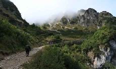 探究八字命理特点:男性八字命格中富贵常伴 非富则贵的现象