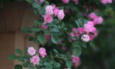 天上火命男和涧下水命女的性格特点、命运轨迹和相处方式,扼要探讨其适合婚姻关系的可能性