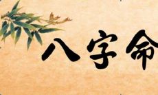 如何查询2022年11月6日出生的宝宝的命运?了解其生辰八字及五行缺失情况