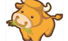 在2021年农历辛丑年正月十一降生的女婴命运如何,五行缺乏哪些元素?