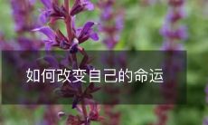 通过改变自身行为和思维模式,提高自我意识并掌握自我管理技能,来实现命运转变的方法和策略