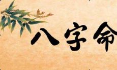 2022年农历三月二十日出生的小虎崽子的综合运势解析,探讨如何为其取名选择吉祥之字