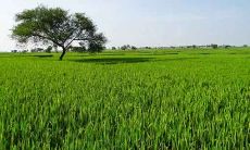 2020年12月25日出生的宝宝的五行格局及缺乏元素对其人生命运的影响如何?