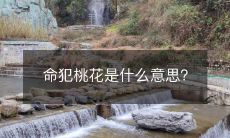 什么是“命犯桃花”,这一术语与中国风水和命理有何关联?