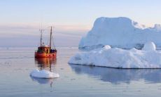 如何解析天上火命和石榴木命的姻缘关系以及相互影响?